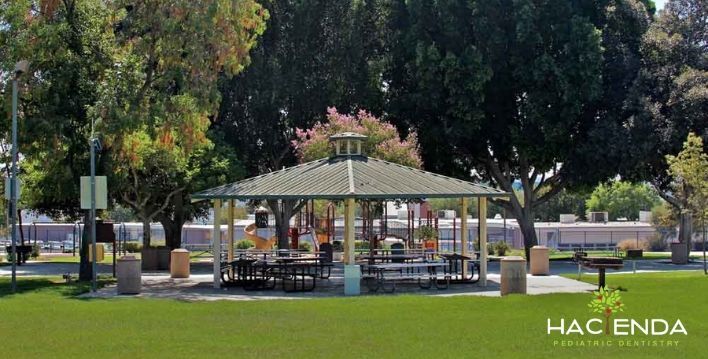 Image of dentist for kids