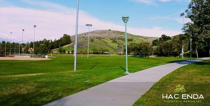 Image of dentist for kids