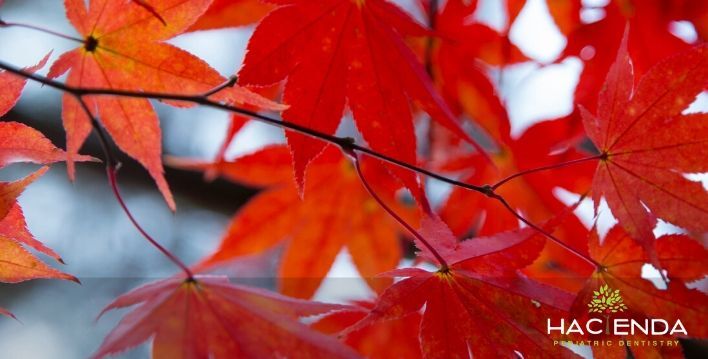 Image of dentist for kids