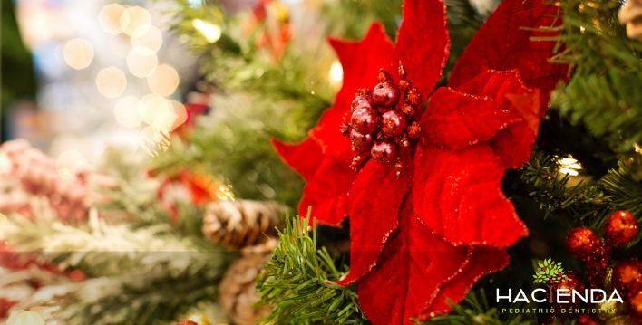 Image of dentist for kids