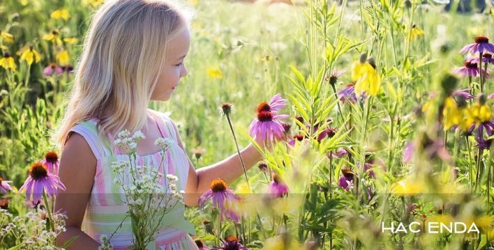 Image of dentist for kids